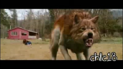 Hq Jacob Blacks Werewolf Transformation in Slow Motion (new Moon Trailer)