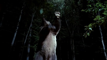 Furry Vengeance/операция Четири лапи (2010) - Official Trailer Hd 