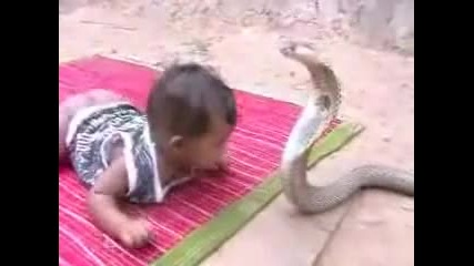 Ужасяващо! Змия Хапе Бебе!? 