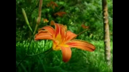 Kenny G - Miracles