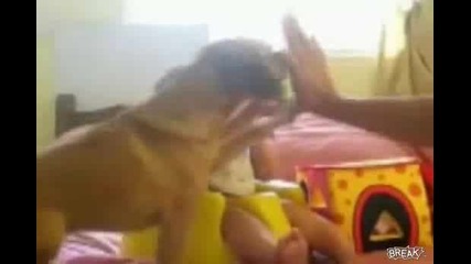 кучето бързо разбра какво трябва да прави 