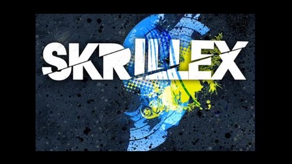 Skrillex-bangarang!!
