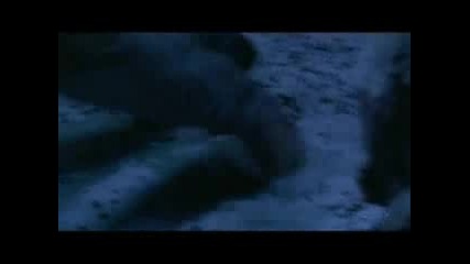 Where We Belong Lost Season 5