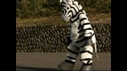 Фалшиво бягство на зебра разиграха в зоопарк в Токио