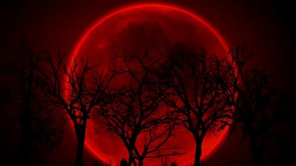 Kalpataru Tree - Red Moon