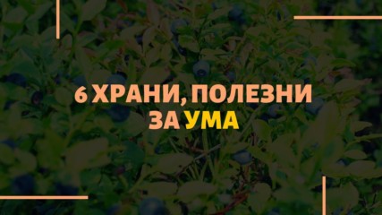 6 храни,полезни за ума