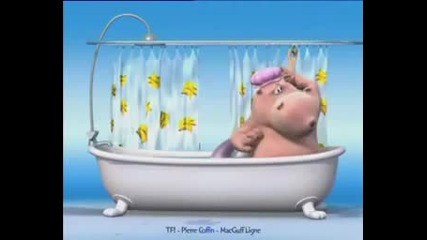 Hippo and Dog in the Bathtub shark attack 