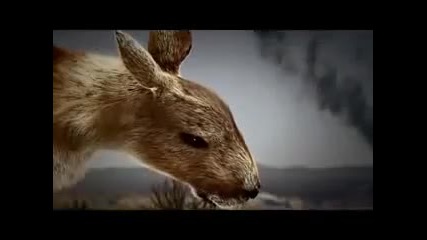 Глобалното Затопляне 