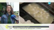 Сирене и кашкавал в евро - готов ли е браншът за превалутиране на цените?