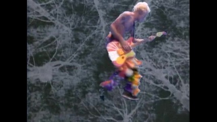 Red Hot Chili Peppers - Higher Ground