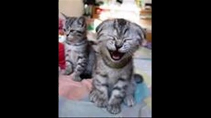 funny stuff