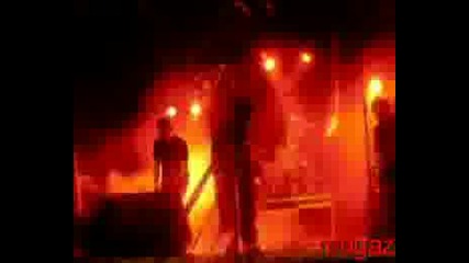 Oliba Gorriak - Gorputza, Odola Eta Bakea