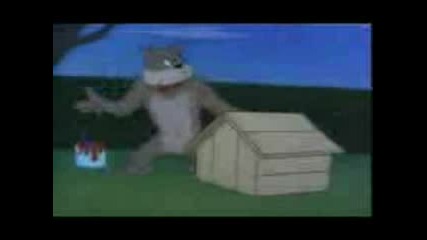 Tom And Jerry