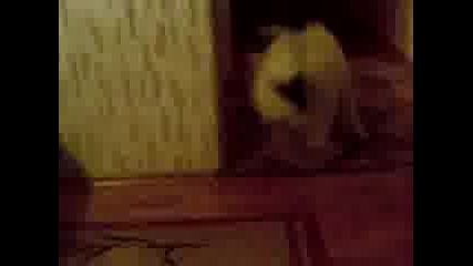 Max 9