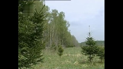 Владимир Трошин - Весной