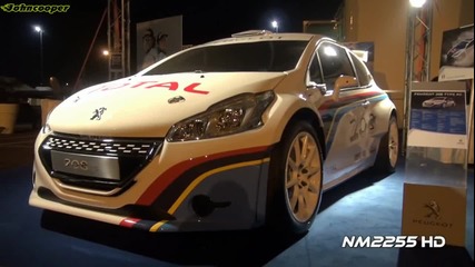 2013 Peugeot 208 R5