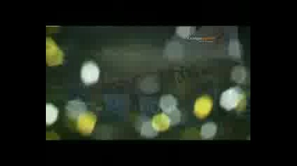 Barca World club cup