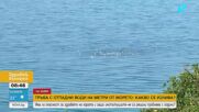 Фекални води на метри от летовници на Свети Влас: Кой носи отговорност?