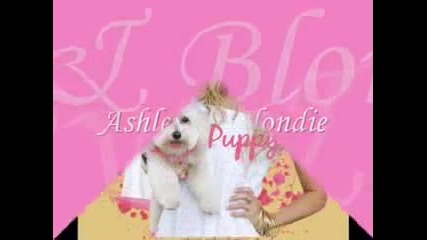 ¦¦¦i Love Ashley Tisdale¦¦¦ Vbox7