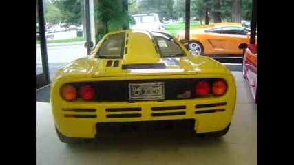 Ferrari F50