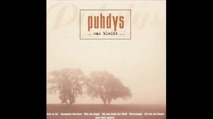 Puhdys - Sturmvogel