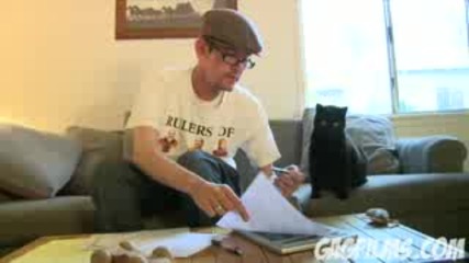 Cat does taxes