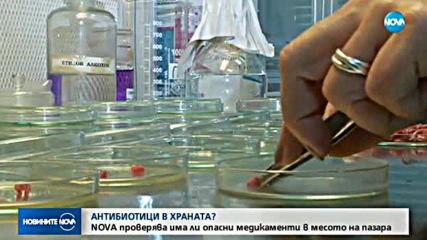 Новините на NOVA (19.11.2017 - обедна емисия)