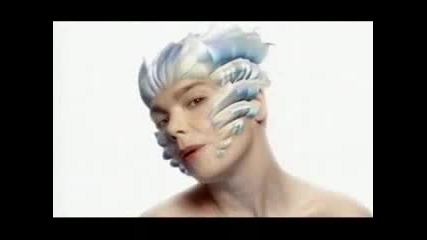 Bjork - Hunter