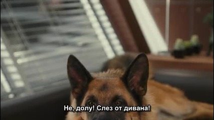 Cats and Dogs 2 The Revenge Of Kitty Galore arc - 2