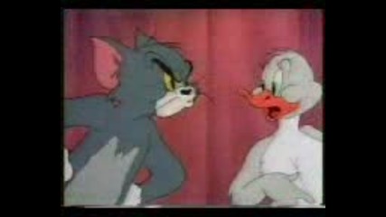 Tom And Jerry