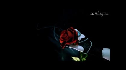 I will not die - Ingrid Cup (превод)