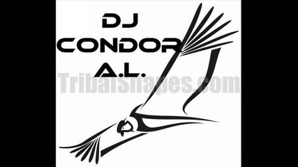 Dj Condor A.l. Mix 2