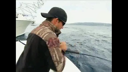 Топ Рибар-вторник 22:00 по Discovery Channel