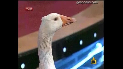 Запек и други такива