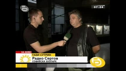 Как да се пазим от змии
