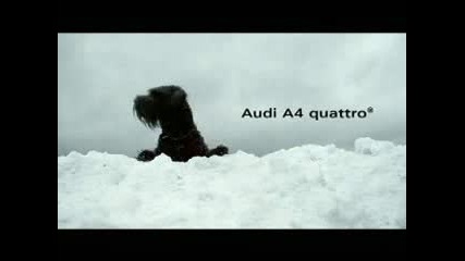 Яка реклама на Audi A4