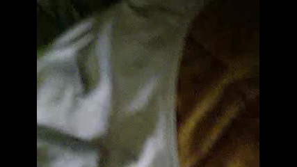 prepil e