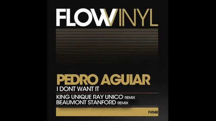 Pedro Aguiar - I Don't Want It (ku Ray Unico Remix)