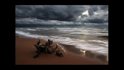 Nor Elle - Dear Trypthonite