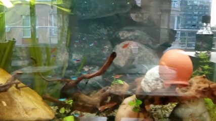 Vid_20170424_184909