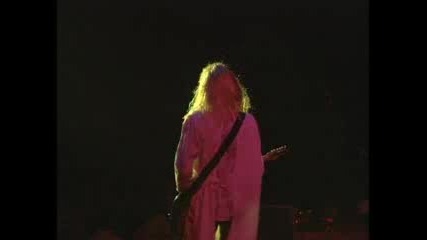 nirvana - breed live