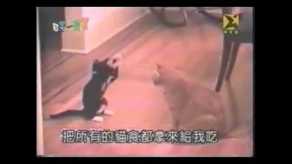 Само смях!