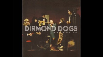 Diamond Dogs - Rush For Comfort