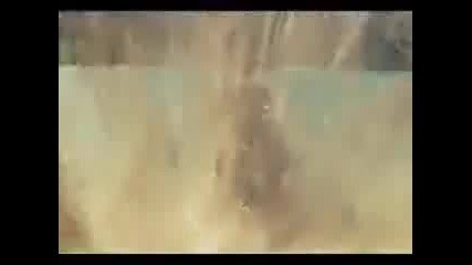 Човек Плува Като Делфин - (зохан)