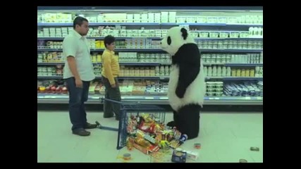 Never say no to Panda 