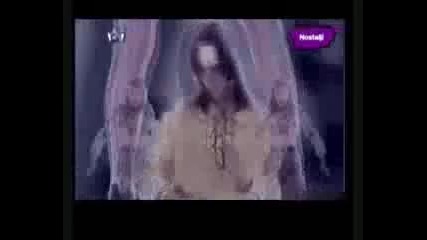 celik kral tv 