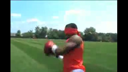 Видео - (2014-11-16 11:49:44)