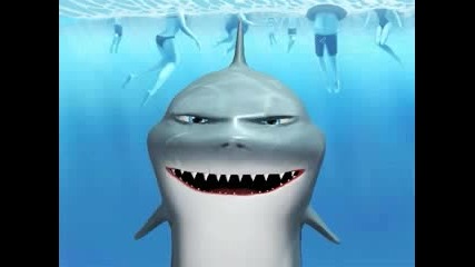The Crazy Shark