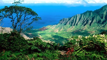 Flo Rida - Whistle ••• [ Hawaii ]