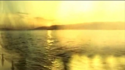 Утки И Арми Много Страст И Тъга 